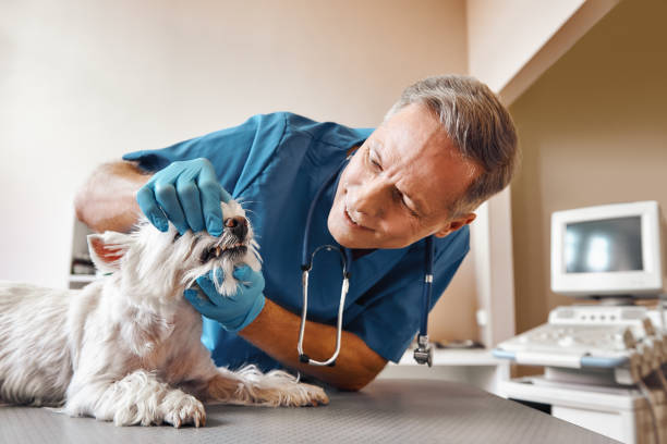 Best Emergency Root Canal Therapy in Floydada, TX